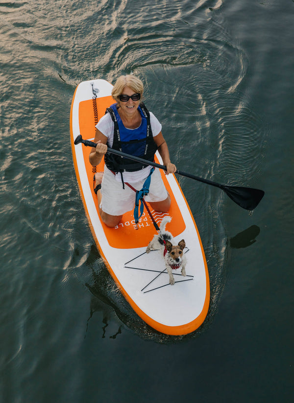 Can you paddle board with your dog?