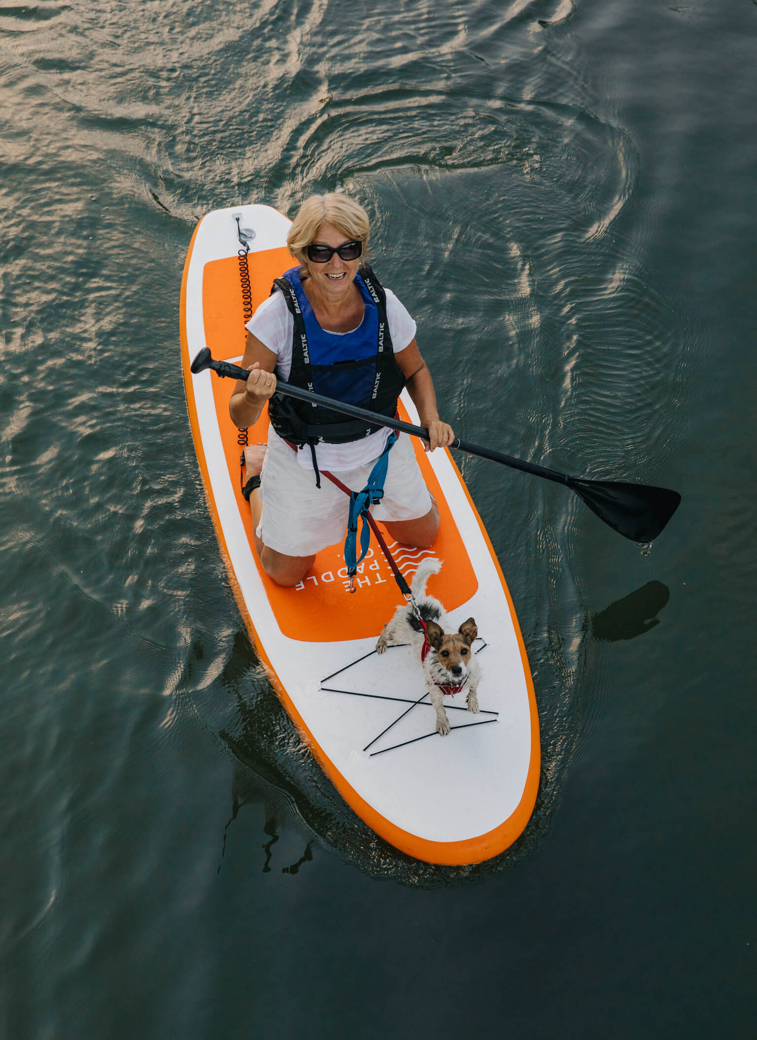 Can you paddle board with your dog? The Paddle Co.